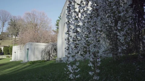 Strings of White Flowers Blow in the Wind in Front of a Mausoleum Video stock 88791963