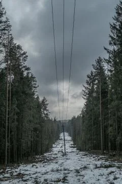 Strings of the winter forest with cloudy sky 스톡 사진