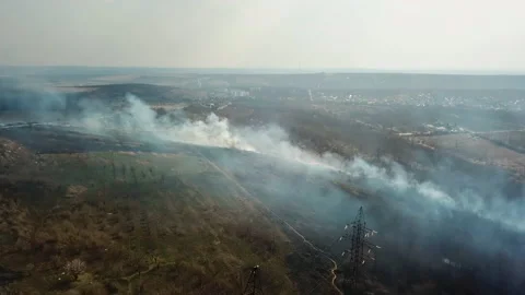 A strip of Dry Grass sets Fire to Trees in dry Forest: Forest fire - Aerial Stock Footage 175909229