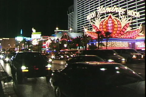 Strip-Flamingo Stock Footage 820525