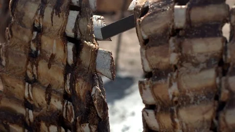 Strip of meat cooking Stock Footage 79469104