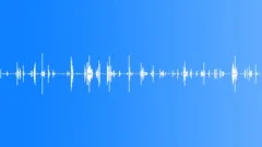 Strip Parquet Creaking 02Sound Effect