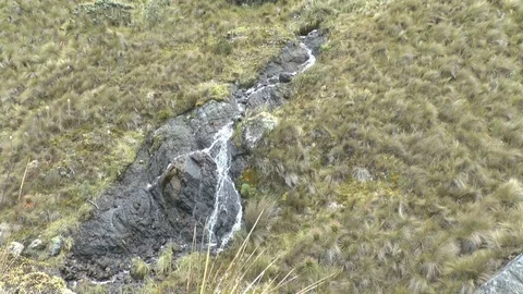 Strip of Waterfall on Side of Hill Stock-Footage 77471252