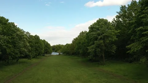 Stripe of grass lined with grown trees, windy weather 스톡 동영상 159154660