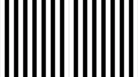 Stripe Pattern6 Stock Footage