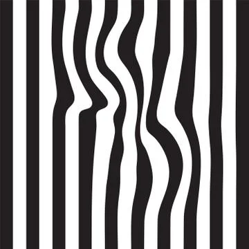 Striped abstract background. black and white zebra print. Vector seamless Illustrazione stock