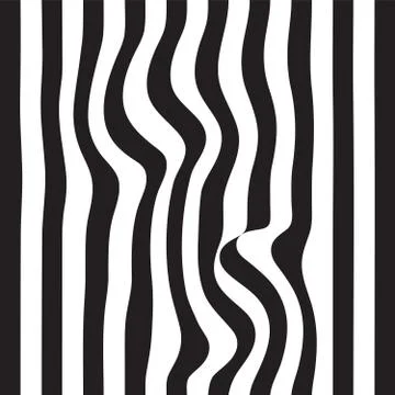 Striped abstract background. black and white zebra print. Vector seamless 库存插图