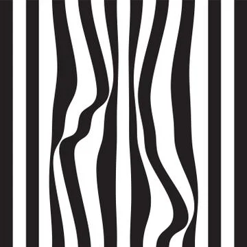 Striped abstract background. black and white zebra print. Vector seamless ill Stock Illustration