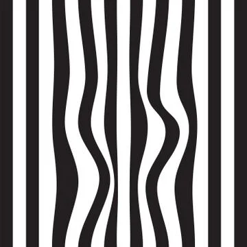 Striped abstract background. black and white zebra print. Vector seamless ill 스톡 일러스트