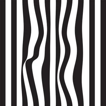 Striped abstract background. black and white zebra print. Vector seamless ill Stock Illustration