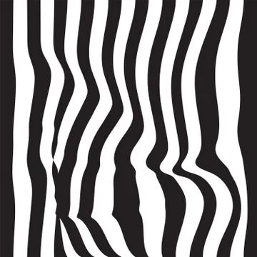 Striped abstract background. black and white zebra print. Vector illustration Stock Illustration