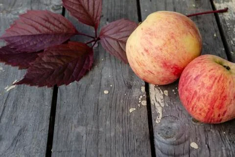 Striped apples on an external background. Copy space Stock Photos