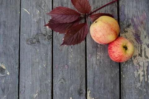 Striped apples on an external background. Copy space Stock Photos
