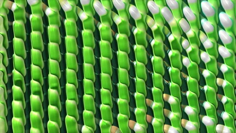 Striped background Stock Footage 163283747