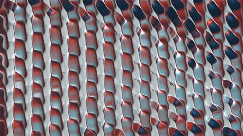 Striped background Stock Footage 163283762