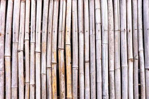 Striped bamboo pattern on row texture background Stock Photos