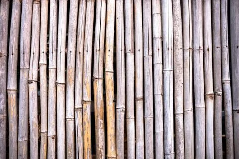 Striped bamboo pattern on row texture background Stock Photos