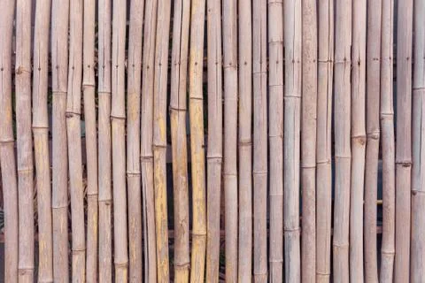 Striped bamboo pattern on row texture background Stock Photos