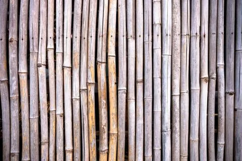 Striped bamboo pattern on row texture background Stock Photos