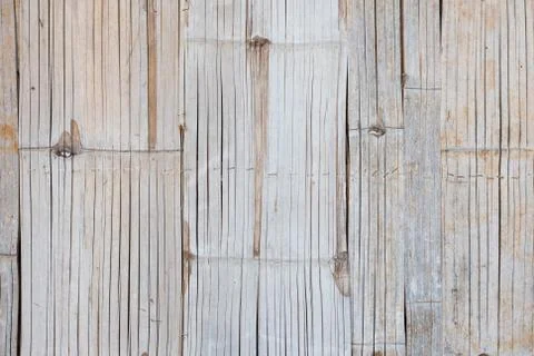 Striped bamboo pattern texture background Foto stock