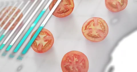 Striped bars entering, activating lens revealing code for food design while 스톡 동영상 333833535