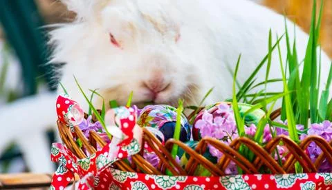 Striped basket full of Easter decoration looks interesting for the bunny Stock Photos
