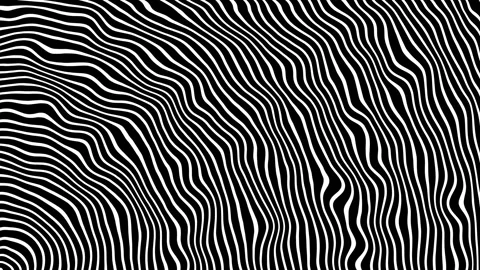 A striped black and white background of moving, winding lines running from Stock Footage 282905055