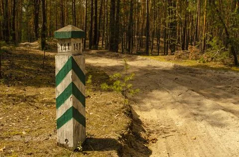 A striped border post in the forest with a plot number. Forest Road. Quarter Foto stock