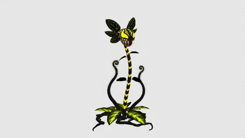 Striped Carnivorous Plant Gets Back Up After Kneeling Over, animation Stock Footage 342542270
