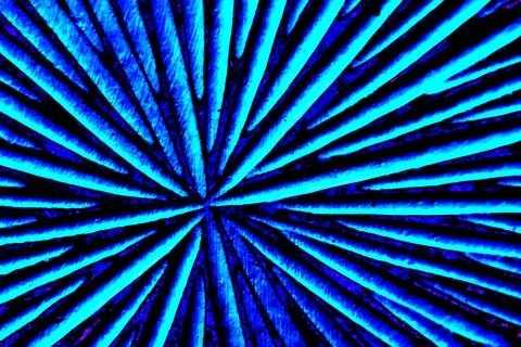 Striped ceramic texture close-up, concentric thorns. Changed color scheme. .. Stock Photos