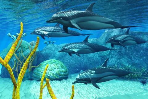 Striped dolphins Stock Illustration