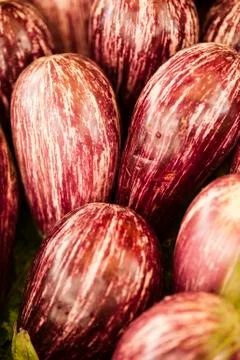 Striped eggplants on display Stock Photos