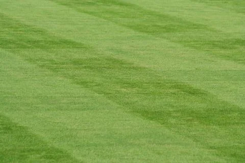 Striped grass Stock Photos