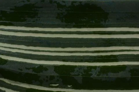 Striped green leaf pattern texture Stockfoto's