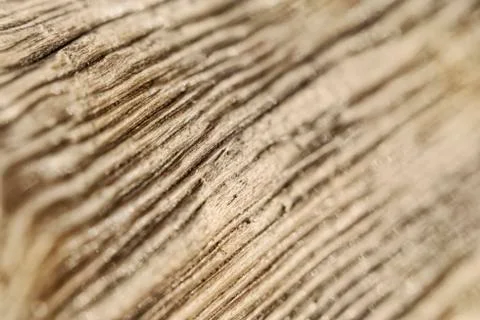 Striped hilly texture of bark of a tree contrast background Stock Photos