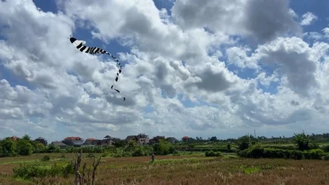 A striped kite soars in the blue sky above a vast, sunlit Balinese rice field. Stock Footage 282760702