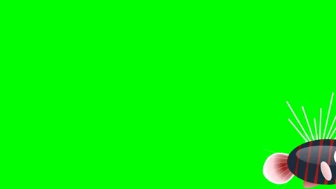 Striped Looping on Chroma Key for Compositing Video stock 336959168