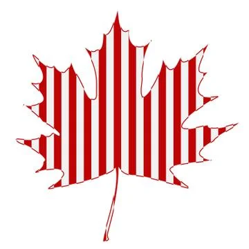 Striped maple leaf イラスト素材