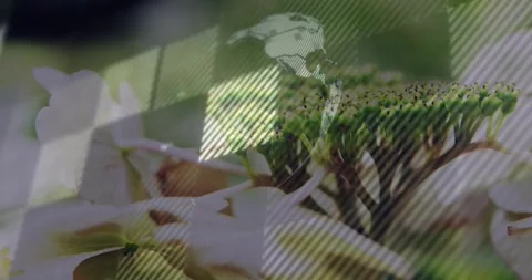 Striped mask sliding from left, rectangle reflecting and globe rotating over Stock Footage 331429494