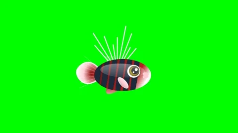 Striped Motion with Fish - Chroma Key Green Screen Footage Video stock 336959160