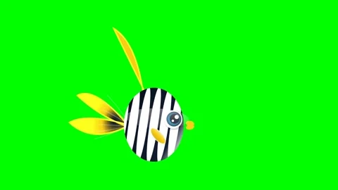 Striped Moving with Fish on Green Screen Chroma Key Background Video stock 336959136