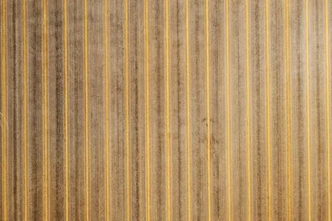 Striped pattern in the field, Western Australia Stock Photos