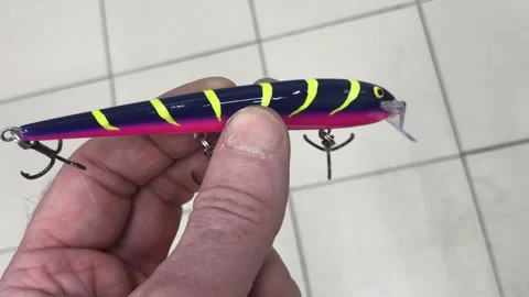 Striped Plug fish lure in the hand Stock Footage 258074112