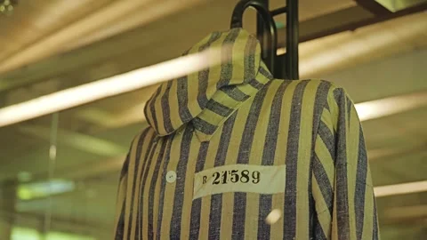 Striped Prisoner Jacket With Identification Number at Stutthof Holocaust Museum Stock Footage 339771517