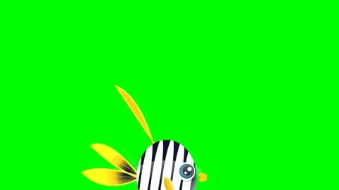 Striped Professional Isolated Green Screen Stock Video Video stock 336959081