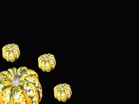 Striped Pumpkins on Black Stock Photos