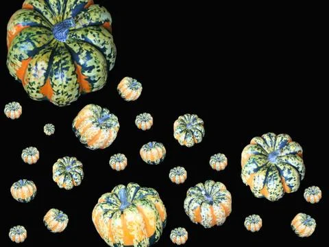 Striped Pumpkins on Black Stock Photos