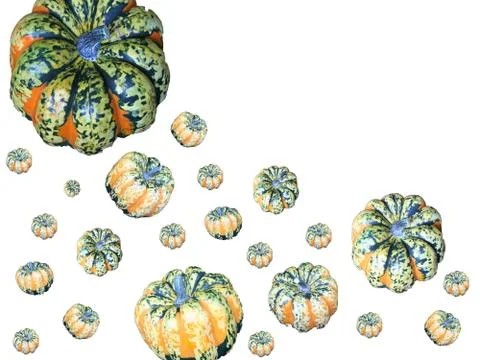 Striped Pumpkins on White. Stock Photos