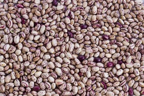 Striped red kidney beans background,flat layout Stock Photos