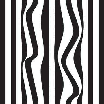 Striped seamless abstract background. black and white zebra print. Vector Stock Illustration